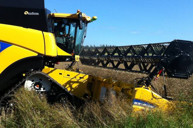 Harvest time