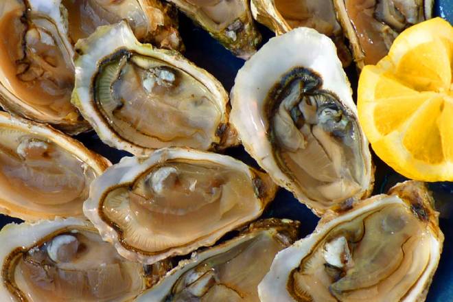 Oyster farming